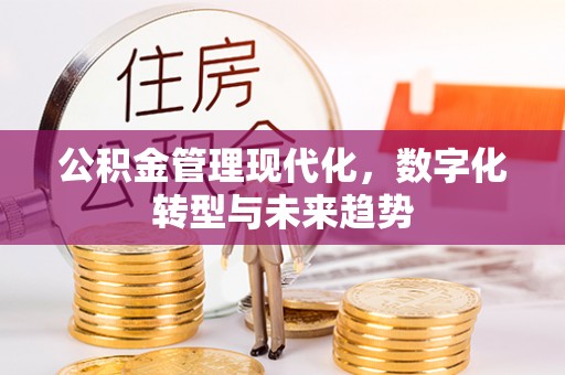 全国公积金管理现代化，数字化转型与未来趋势