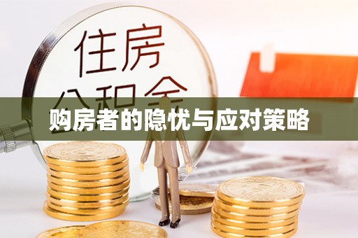 全国购房者的隐忧与应对策略