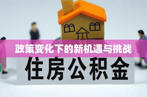 全国政策变化下的新机遇与挑战